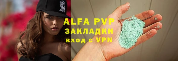 стаф Абинск