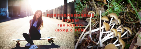 стаф Абинск