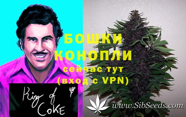 PSILOCYBIN Абаза