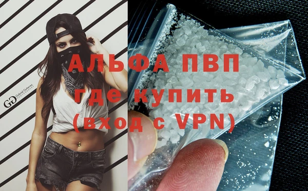 стаф Абинск